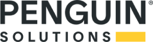 Penguin Solutions Inc